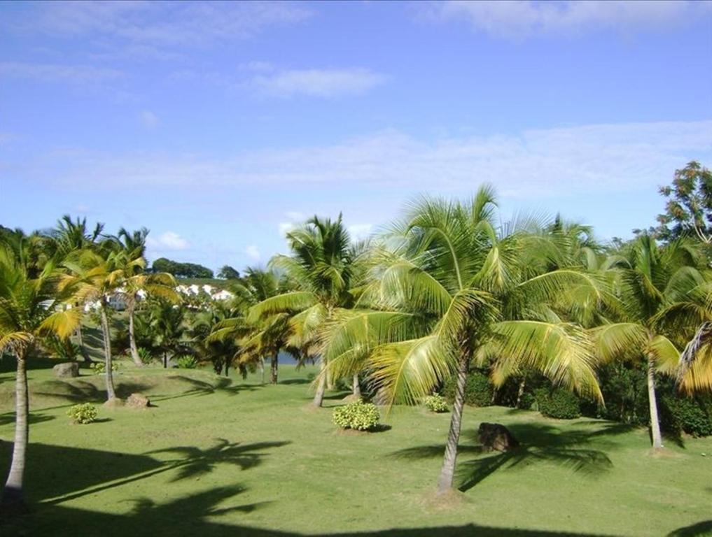 Rio Mar Village - Golf Course View Rio Grande Exterior foto